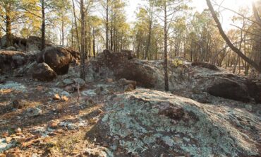 NSW Hitting Big in Rare Earths with ASM’s Dubbo Zircon